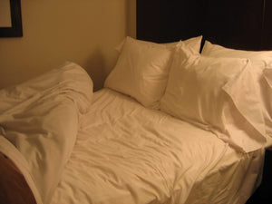 Bed Bug Prevention is Key - ZappBug