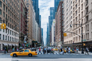 Landlords Must Share Bed Bug History in New York City - ZappBug