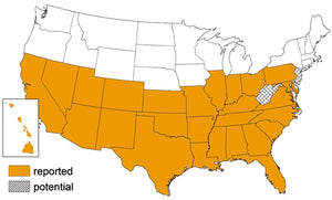 Report bed bug map