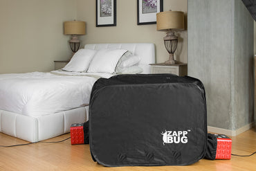 Protect Yourself From Bed Bugs