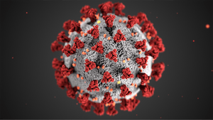 Effective Tools for Killing Coronavirus on Surfaces and Everyday Items - ZappBug