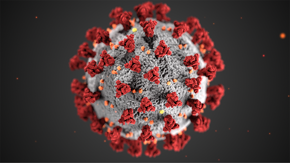Herramientas efectivas para matar el coronavirus en superficies y artículos cotidianos