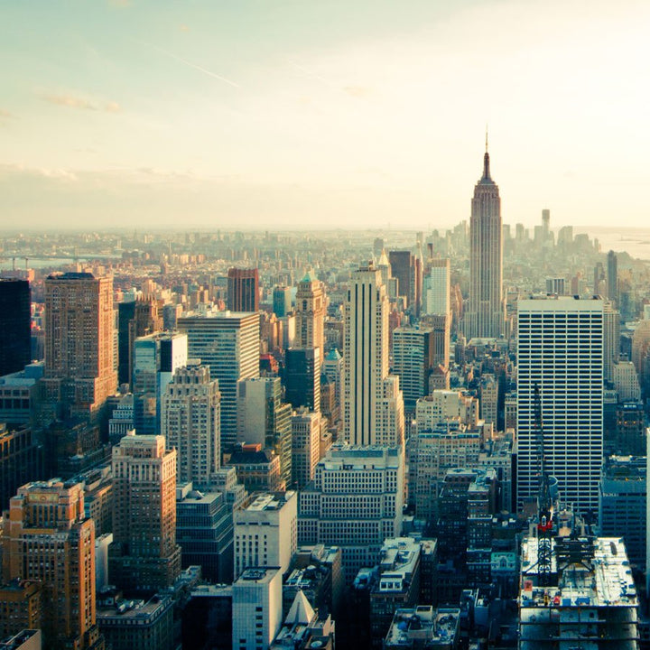 Progress Against Bed Bugs in NYC