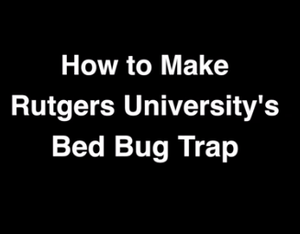 How to make Rutger University's Bed bug trap