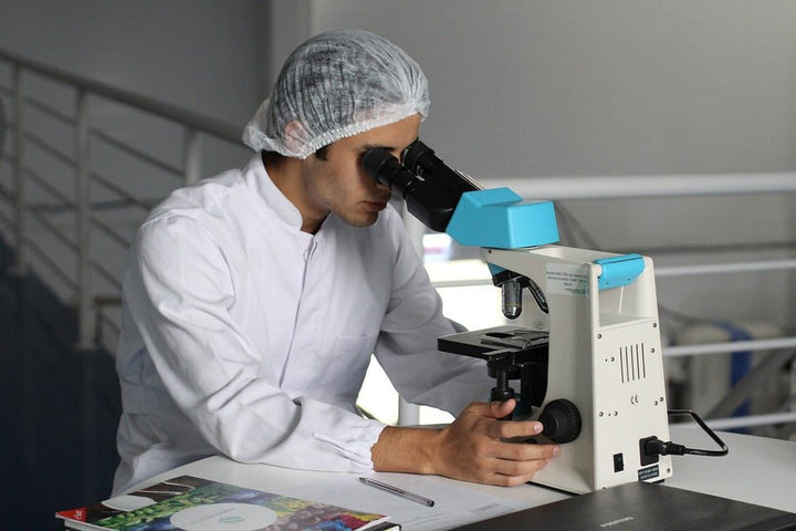 Researchers Study Natural Treatment for Bed Bugs