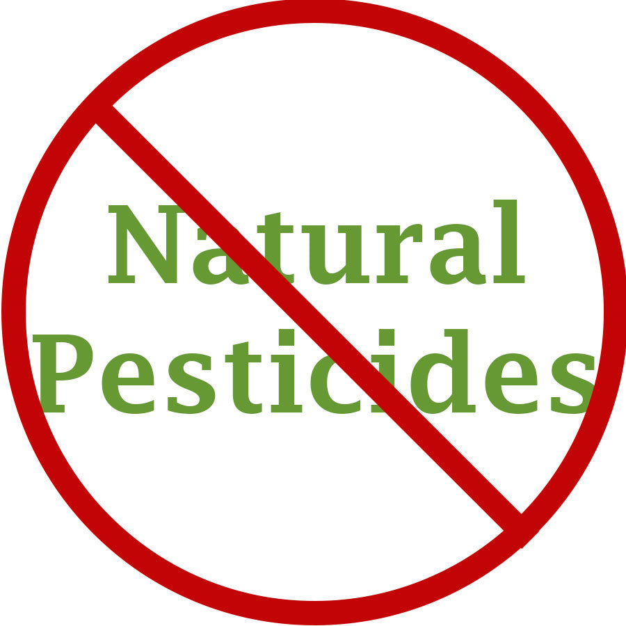 Do Natural Pesticides Get Rid of Bed Bugs in the REAL WORLD?
