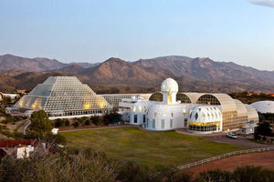 What Can An Eccentric Billionaire, An Invasive Ant from Argentina, And a Plan To Live on Mars Teach Us about Keeping Insects at Bay? - ZappBug
