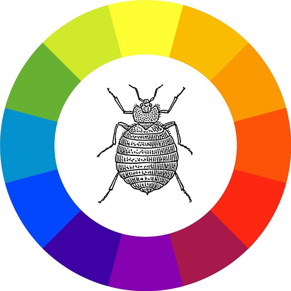 Bed Bugs Favorite Color