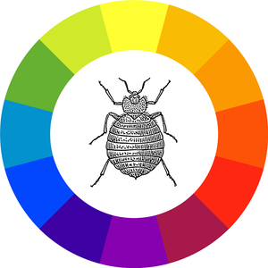 bed bug inside a color wheel