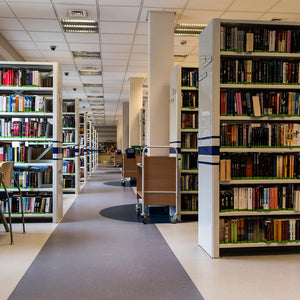 Bed Bugs in Library Books