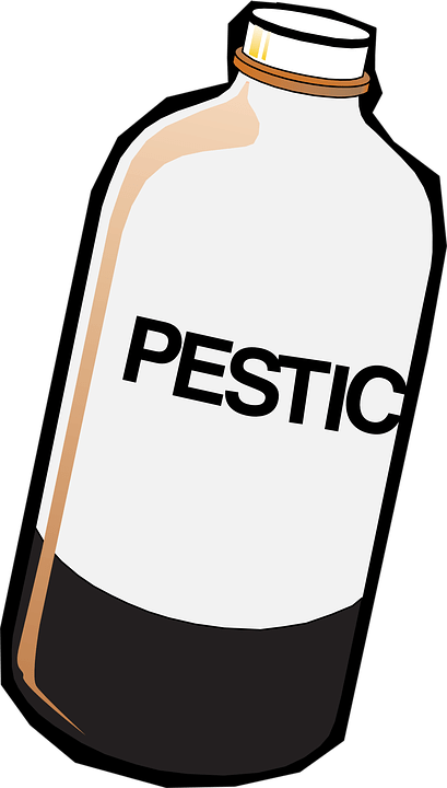 Bed Bugs Resistant to Pesticides 1000x Normal  Dose