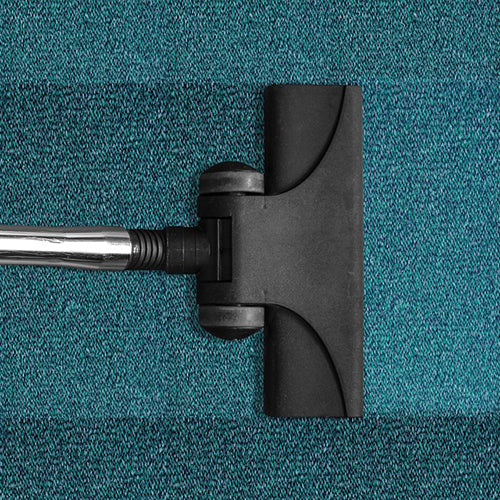 Cómo limpiar alfombras con chinches